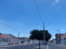 A cidade de Itatim, nesta manhã do dia 29 de fevereiro, testemunhou um fenômeno espetacular: a migração em massa das borboletas. Este evento anual atraiu a atenção dos moradores locais e entusiastas da natureza, transformando o céu em um verdadeiro espetáculo de cores e movimento.